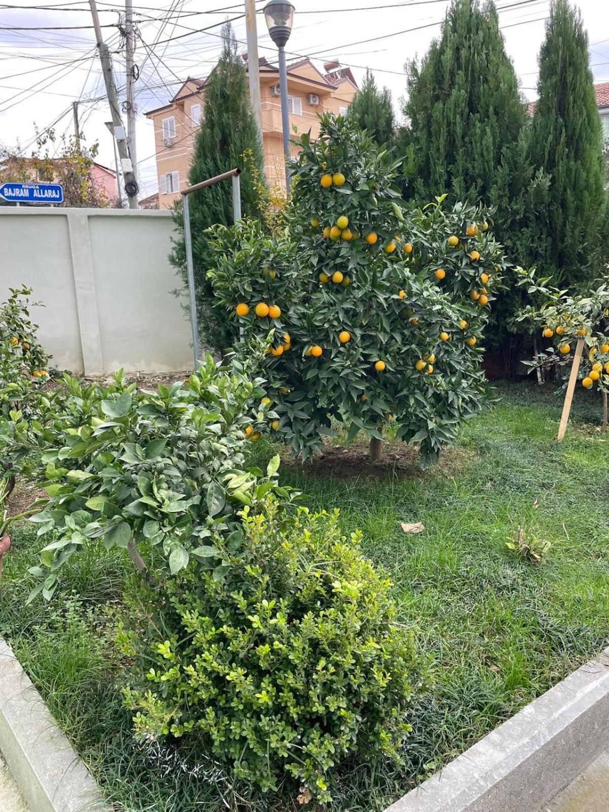 Kevi 'S Place Tirana Buitenkant foto